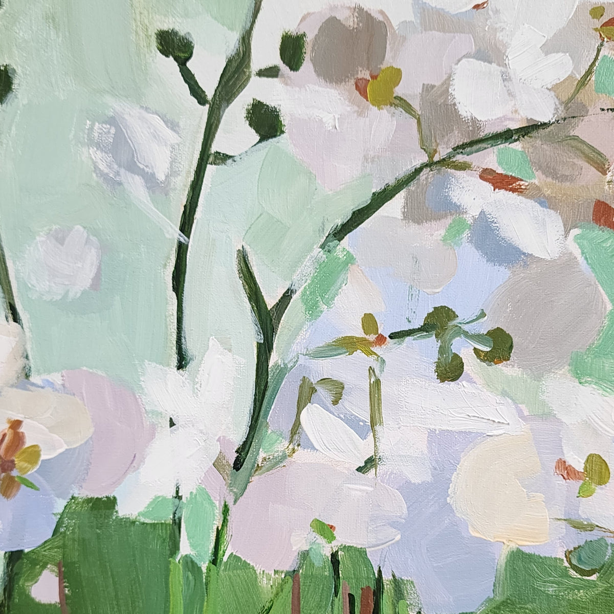 Bea's Orchids
